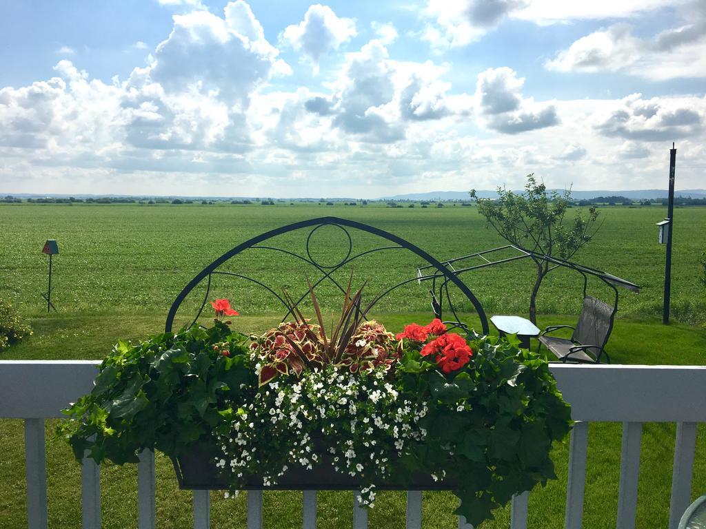 Bed and Breakfast Champ Soleil Metabetchouan Zewnętrze zdjęcie